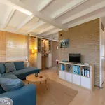 Wildrijk 152 In Sint Maartenszee Holiday home *