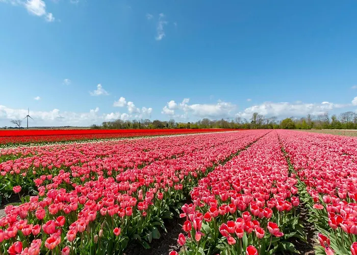 Wildrijk 152 In Sint Maartenszee Sint Maartensvlotbrug
