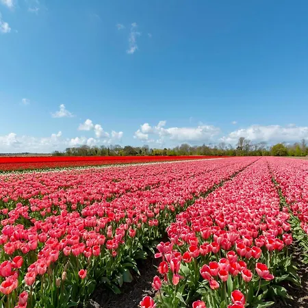 Sint Maartenszee Near * Sint Maartensvlotbrug